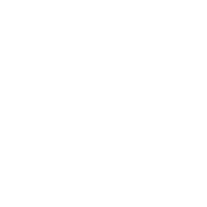 LOGO WS PUTIH