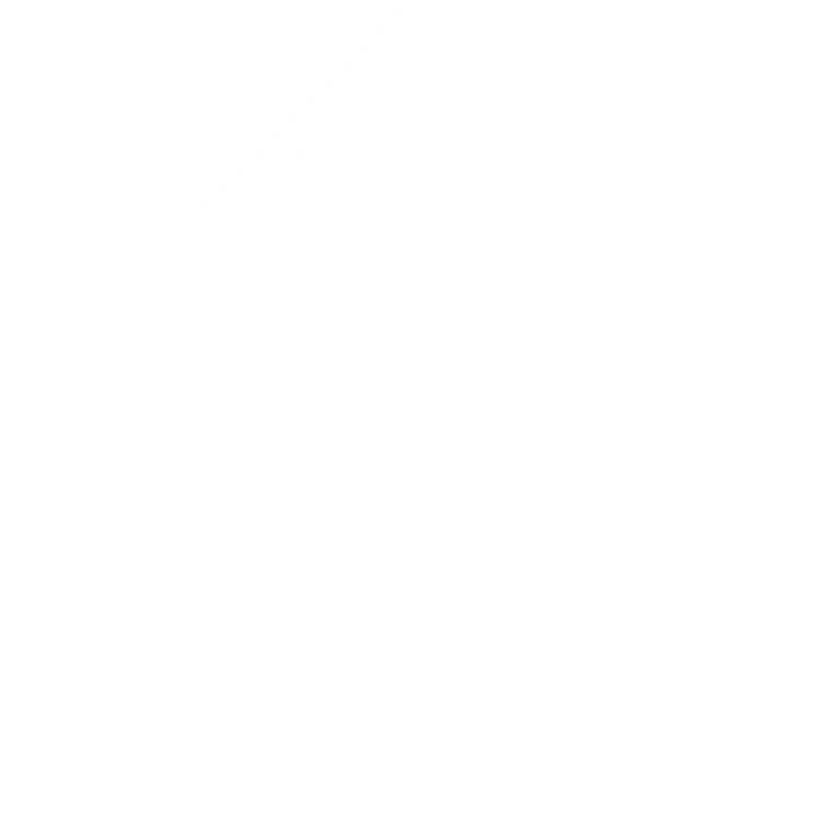 LOGO WS PUTIH